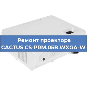 Замена лампы на проекторе CACTUS CS-PRM.05B.WXGA-W в Воронеже